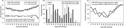 Low Soil Nutrient Tolerance and Mineral Fertilizer Response in White Guinea Yam (Dioscorea rotundata) Genotypes